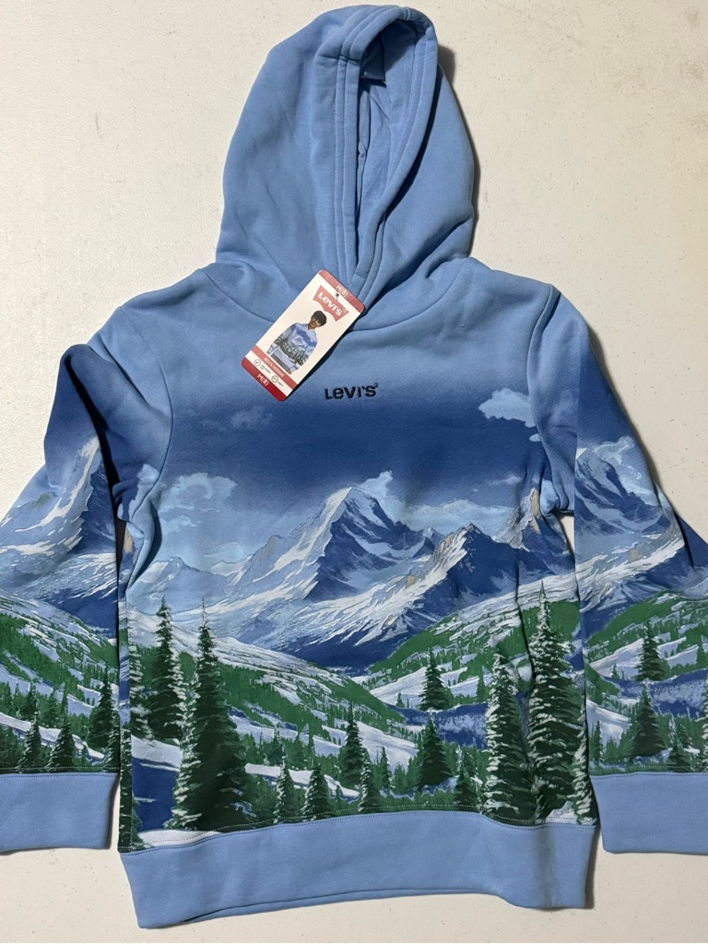 Levi's Light Blue Mountain Print Hoodie
